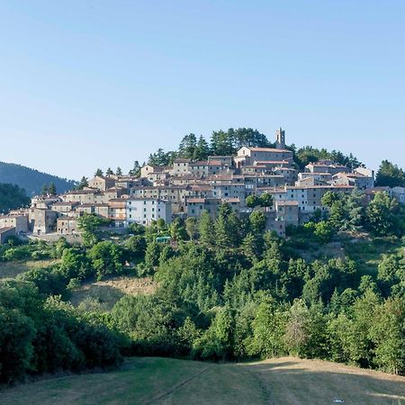 La Casina Di Pia Apartment Montieri Bagian luar foto