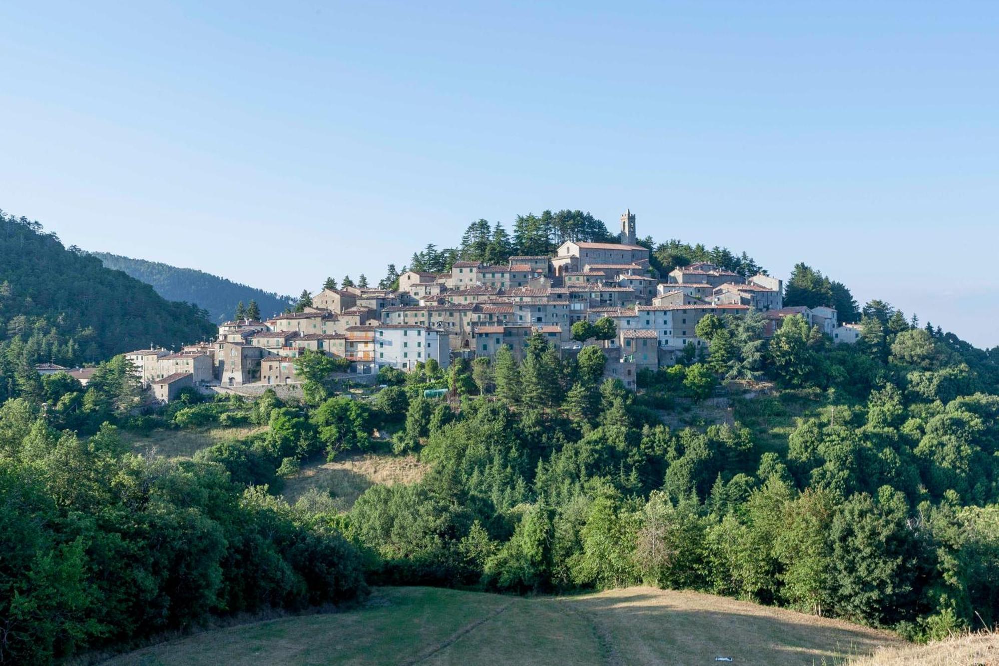 La Casina Di Pia Apartment Montieri Bagian luar foto